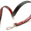 Vital Pet Products Leather Lead With Bone Decor Red