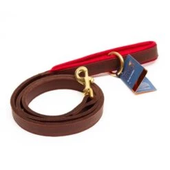 Great&Small Hawkhurst Leather Lead Padded Red