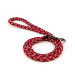 Great&Small Glow Lead Plait Red