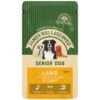 JAMES WELLBELOVED Pouches Senior Lamb 150g