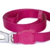 Zee Dog Pink A Boo Pink Dog Lead
