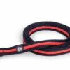 Petface Training Lead