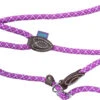 Dog & Co Mountain Rope Slip Lead Purple Mint & Grey 150cm