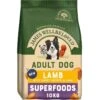 James Wellbeloved Superfoods Adult Dry Dog Food Lamb With Sweet Potato & Chia