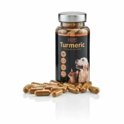 Golden Paste Turmeric Capsules