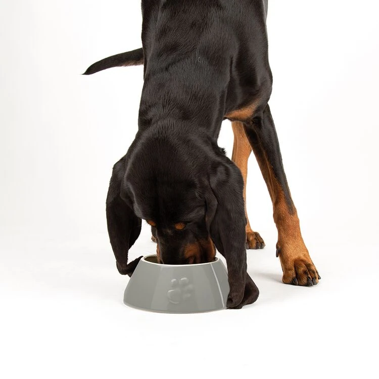 Scruffs® Classic Long Eared Dog Bowl Grey 2 Scruffs® Classic Long Eared Dog Bowl Grey - Image 2
