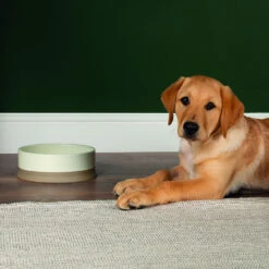 Scruffs® Scandi Non Tip Bowl Cream -Cheap Bowls And Food Store 823205 2 1