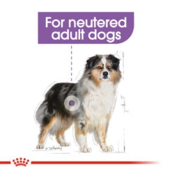 ROYAL CANIN® Medium Sterilised Care Adult Dry Dog Food 11 ROYAL CANIN® Medium Sterilised Care Adult Dry Dog Food -Cheap Bowls And Food Store cbydblq4jtoamdmuo43g