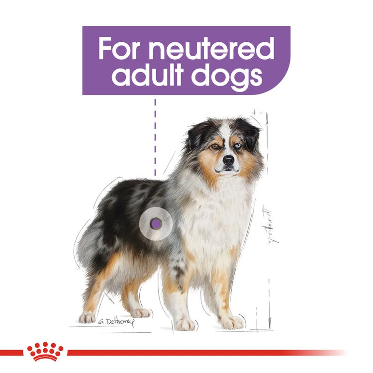 ROYAL CANIN® Medium Sterilised Care Adult Dry Dog Food 3 ROYAL CANIN® Medium Sterilised Care Adult Dry Dog Food - Image 3