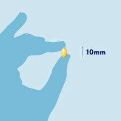 Dorwest Cod Liver Oil Capsules 17 Dorwest Cod Liver Oil Capsules -Cheap Bowls And Food Store cd pt03