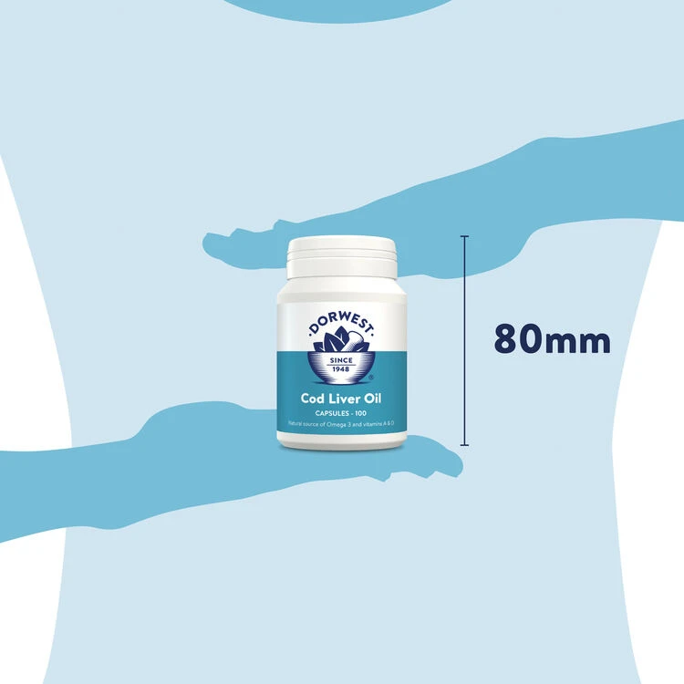 Dorwest Cod Liver Oil Capsules 2 Dorwest Cod Liver Oil Capsules - Image 2