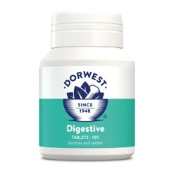 Dorwest Digestive Supplement Tablets