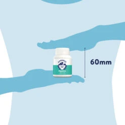 Dorwest Digestive Supplement Tablets -Cheap Bowls And Food Store dg100 pt12