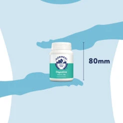 Dorwest Digestive Supplement Tablets -Cheap Bowls And Food Store dg200 pt12