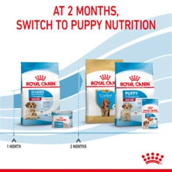 ROYAL CANIN® Medium Starter Mother & Babydog Adult And Puppy Dry Food 18 ROYAL CANIN® Medium Starter Mother & Babydog Adult And Puppy Dry Food -Cheap Bowls And Food Store dsxpejxsluwcm2cyeqbr