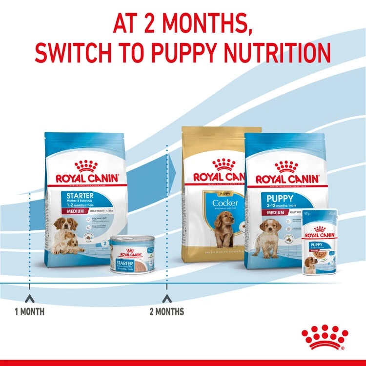 ROYAL CANIN® Medium Starter Mother & Babydog Adult And Puppy Dry Food 8 ROYAL CANIN® Medium Starter Mother & Babydog Adult And Puppy Dry Food - Image 8