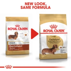 ROYAL CANIN® Dachshund Adult Dry Dog Food -Cheap Bowls And Food Store dxtgks00a1y3y3clf6ns