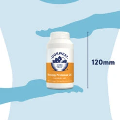 Dorwest Evening Primrose Oil Capsules -Cheap Bowls And Food Store epo200 pt12