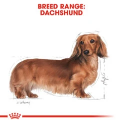 ROYAL CANIN® Dachshund Adult Dry Dog Food -Cheap Bowls And Food Store etrtqjfchfgo1gmgljum