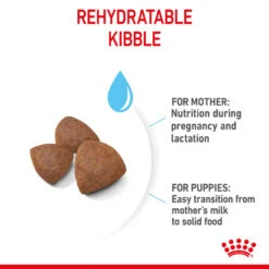 ROYAL CANIN® Medium Starter Mother & Babydog Adult And Puppy Dry Food 17 ROYAL CANIN® Medium Starter Mother & Babydog Adult And Puppy Dry Food -Cheap Bowls And Food Store f0iqfbseiusbbgzu4bm3