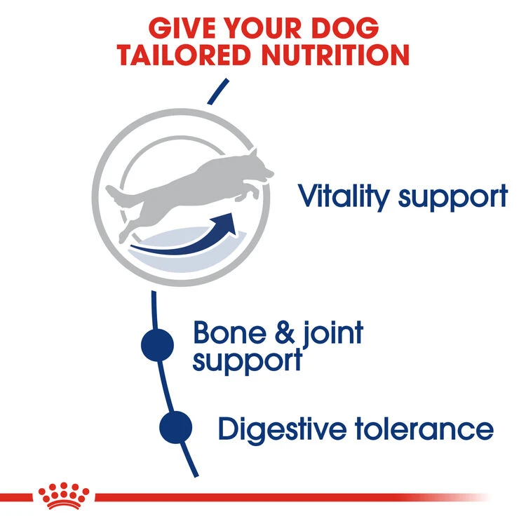 ROYAL CANIN® Maxi Large Breed Adult 5+ Dry Dog Food 7 ROYAL CANIN® Maxi Large Breed Adult 5+ Dry Dog Food - Image 7