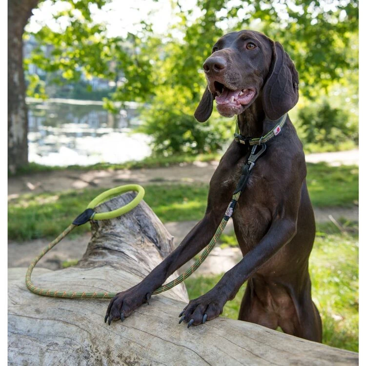 Long Paws Comfort Collection Rope Lead Green 1 Long Paws Comfort Collection Rope Lead Green