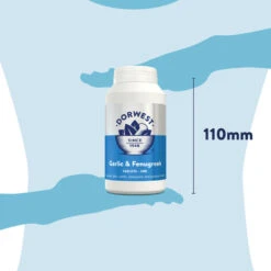 Dorwest Garlic & Fenugreek Tablets -Cheap Bowls And Food Store gf500 pt12