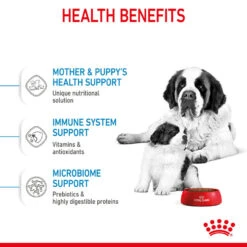 ROYAL CANIN® Giant Breeds Starter Mother & Babydog Adult And Puppy Dry Food 16 ROYAL CANIN® Giant Breeds Starter Mother & Babydog Adult And Puppy Dry Food -Cheap Bowls And Food Store h4iybjswt7dzbbffzxup