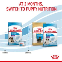ROYAL CANIN® Giant Breeds Starter Mother & Babydog Adult And Puppy Dry Food 18 ROYAL CANIN® Giant Breeds Starter Mother & Babydog Adult And Puppy Dry Food -Cheap Bowls And Food Store ibcsxaiejxg27ebstwlo