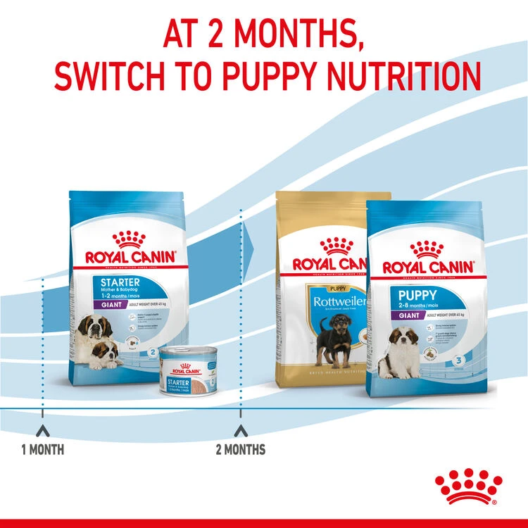 ROYAL CANIN® Giant Breeds Starter Mother & Babydog Adult And Puppy Dry Food 8 ROYAL CANIN® Giant Breeds Starter Mother & Babydog Adult And Puppy Dry Food - Image 8