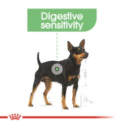 ROYAL CANIN® Mini Digestive Care Adult Dry Dog Food -Cheap Bowls And Food Store iteudwagturp1bj7lhlh