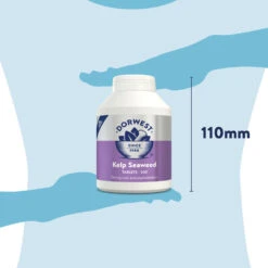 Dorwest Kelp Seaweed Tablets -Cheap Bowls And Food Store ks500 pt12