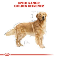 ROYAL CANIN® Golden Retriever Adult Dry Dog Food -Cheap Bowls And Food Store lv4glt8twrowjnwaw2m9