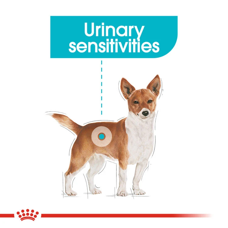 ROYAL CANIN® Mini Urinary Care Adult Dry Dog Food 3 ROYAL CANIN® Mini Urinary Care Adult Dry Dog Food - Image 3