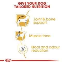 ROYAL CANIN® Dachshund Adult Dry Dog Food -Cheap Bowls And Food Store owpcj98gjrekptgw6bl9