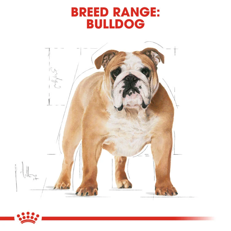 ROYAL CANIN® Bulldog Adult Dry Dog Food 3 ROYAL CANIN® Bulldog Adult Dry Dog Food - Image 3