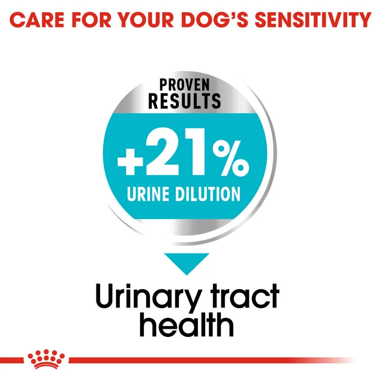 ROYAL CANIN® Mini Urinary Care Adult Dry Dog Food 4 ROYAL CANIN® Mini Urinary Care Adult Dry Dog Food - Image 4