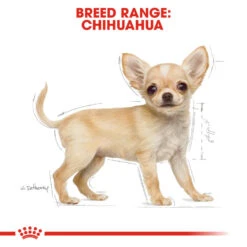 ROYAL CANIN® Chihuahua Puppy Dry Food 14 ROYAL CANIN® Chihuahua Puppy Dry Food -Cheap Bowls And Food Store px7jipvqvvq1sfdvnzgd