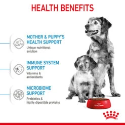 ROYAL CANIN® Medium Starter Mother & Babydog Adult And Puppy Dry Food 16 ROYAL CANIN® Medium Starter Mother & Babydog Adult And Puppy Dry Food -Cheap Bowls And Food Store q9wizrekj9wisyg1jr70