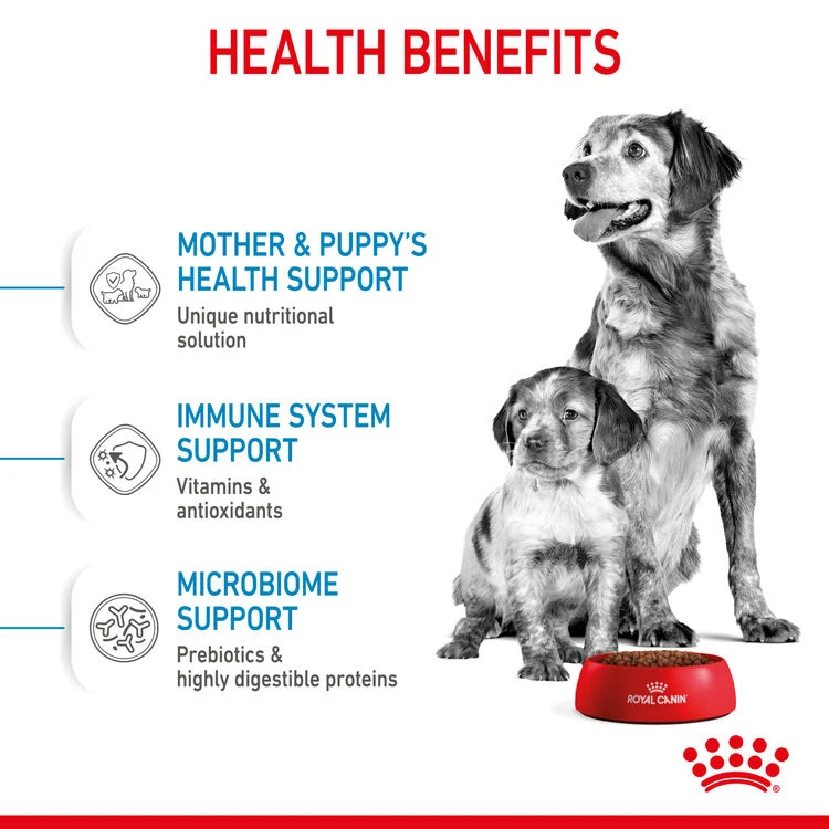 ROYAL CANIN® Medium Starter Mother & Babydog Adult And Puppy Dry Food 6 ROYAL CANIN® Medium Starter Mother & Babydog Adult And Puppy Dry Food - Image 6