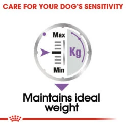 ROYAL CANIN® Sterilised Care Wet Pouches Adult Dog Food -Cheap Bowls And Food Store qbr7516gshlslpe9achs