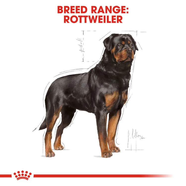 ROYAL CANIN® Rottweiler Adult Dry Dog Food 3 ROYAL CANIN® Rottweiler Adult Dry Dog Food - Image 3