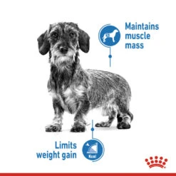 ROYAL CANIN® Light Weight Care Wet Pouches Adult Dog Food -Cheap Bowls And Food Store qlggrwf4c3gifsyxvgwa