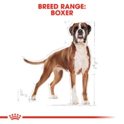 ROYAL CANIN® Boxer Adult Dry Dog Food -Cheap Bowls And Food Store rij0p1rx3xuibkuuy5ls