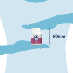 Dorwest Raspberry Leaf Tablets -Cheap Bowls And Food Store rl100 pt12