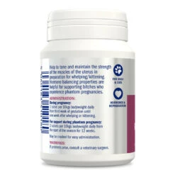 Dorwest Raspberry Leaf Tablets -Cheap Bowls And Food Store rl200 s1