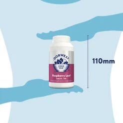 Dorwest Raspberry Leaf Tablets -Cheap Bowls And Food Store rl500 pt12