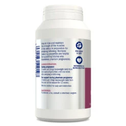 Dorwest Raspberry Leaf Tablets -Cheap Bowls And Food Store rl500 s1