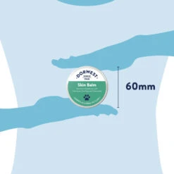 Cheap Bowls And Food Store -Cheap Bowls And Food Store skinbalm pt12