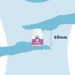 Dorwest Milk Thistle Tablets -Cheap Bowls And Food Store th100 pt12